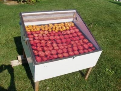 Preserving Tomatoes and Apples With a Homemade Solar Food Dryer Image